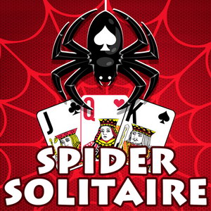 Playtouch Spider Solitaire